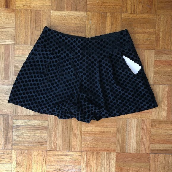 Nanette Lepore Black Burnout Velvet Dot Shorts - Picture 2 of 5